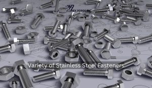 Variety of Stainless Steel Fasteners
