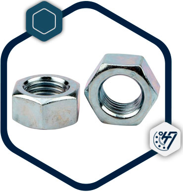 Hex Nuts Products