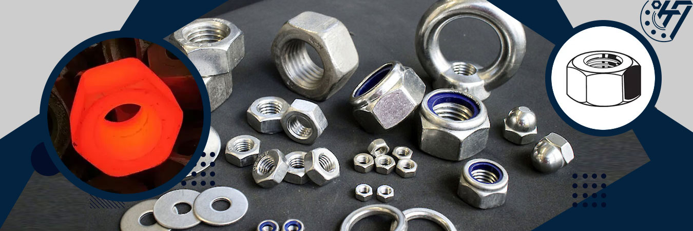 Stainless Steel Hex Nuts Product